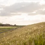Gulfhof Polder72 8 Hero Dornum